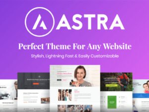 Astra Pro – Fast & Lightweight WordPress Theme for Elementor and WooCommerce