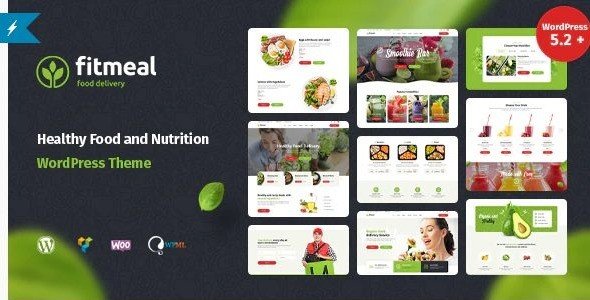 fitmeal healthy food wordpress theme