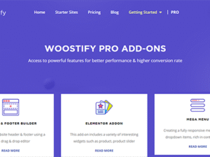woostify-woocommerce-theme-pro-addon-premium-responsive-wordpress-ecommerce-template.jpg